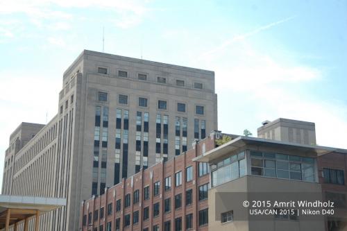 DSC 4901