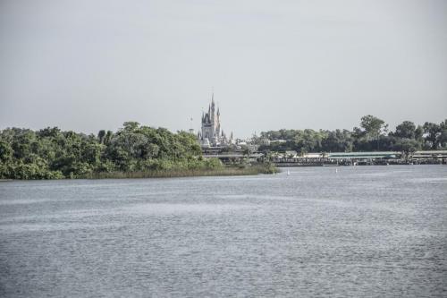DSC 0019 D1